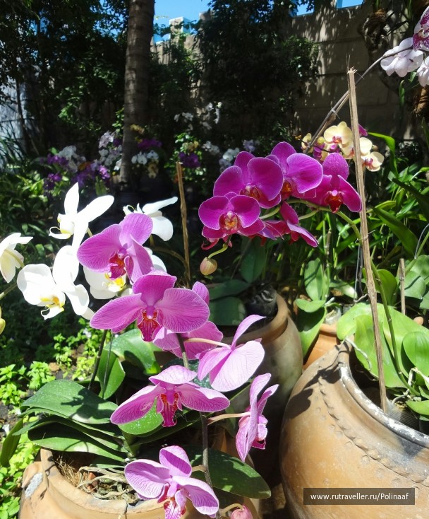 photo 1761764