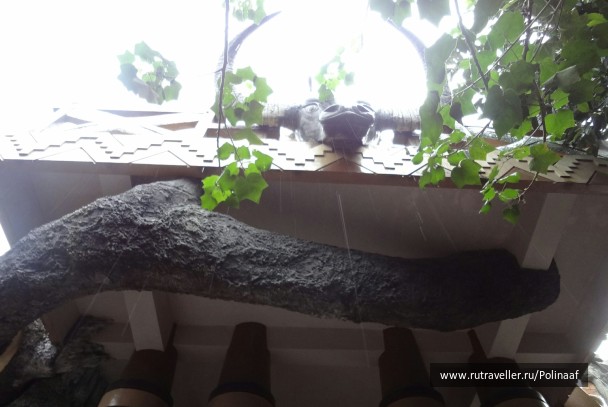 photo 1764912