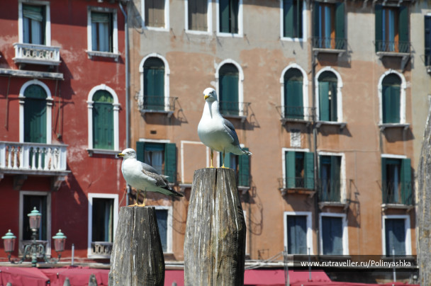 photo 237941