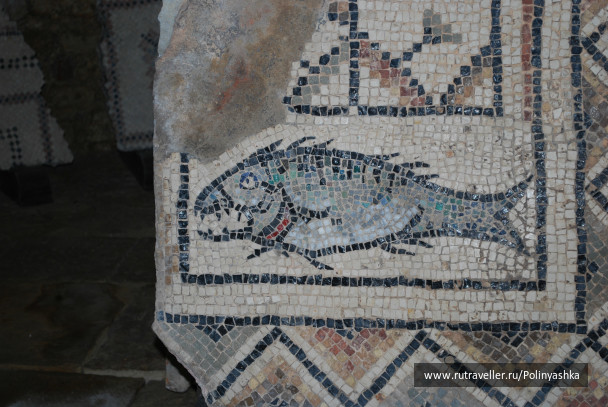 photo 237953