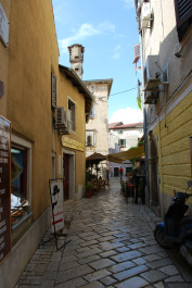 photo 237957