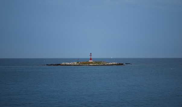 DSC_0124