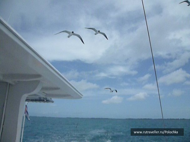 photo 1163283