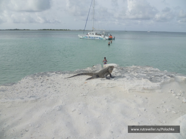 photo 1163293