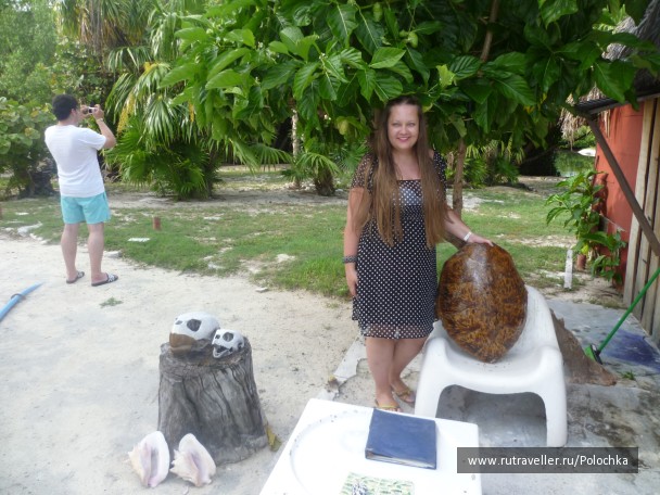 photo 1163373