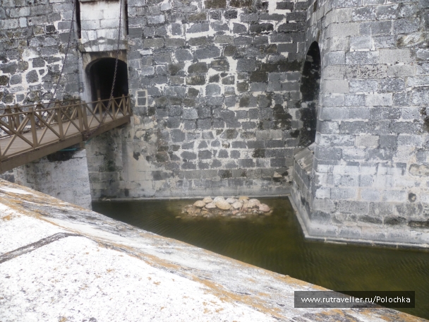 photo 1163459