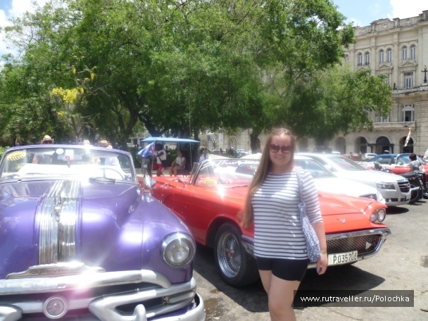 photo 1163480