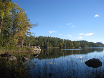 photo 1376009