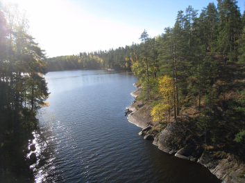 photo 1376013