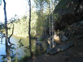 photo 1376014