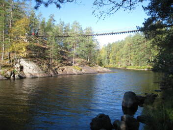 photo 1376015
