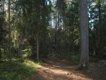 photo 1376021