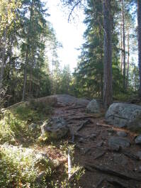 photo 1376022