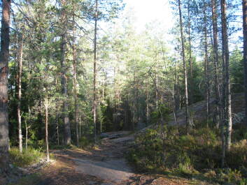 photo 1376023