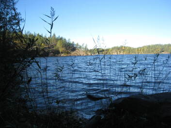 photo 1376024