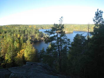 photo 1376031