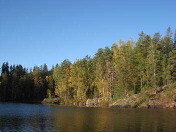 photo 1376034