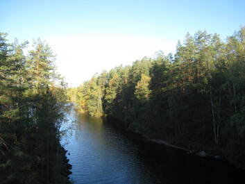 photo 1376039
