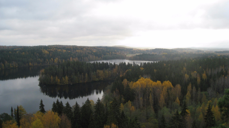 photo 1377246
