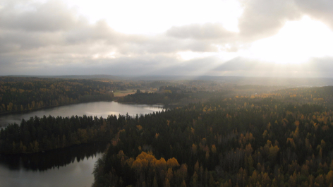 photo 1377247