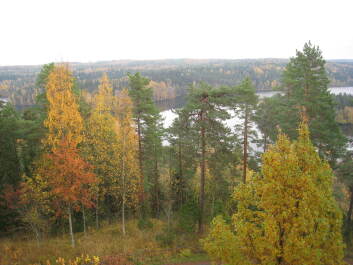 photo 1377251