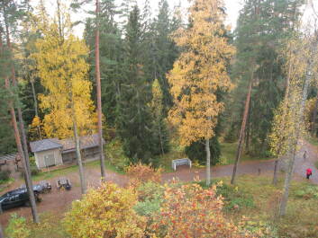photo 1377252