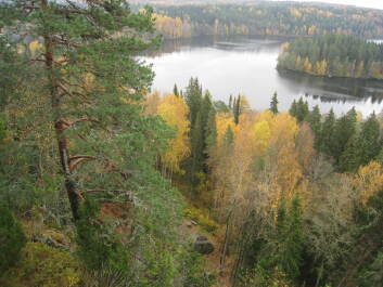 photo 1377255