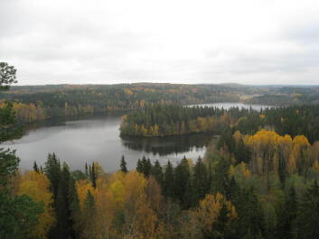 photo 1377258