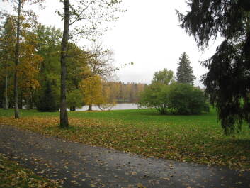 photo 1377260