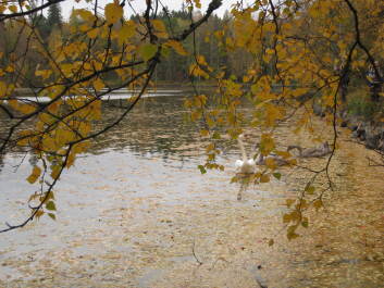 photo 1377263