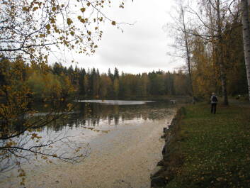 photo 1377264