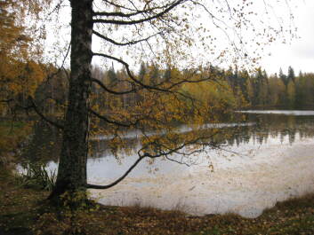 photo 1377265