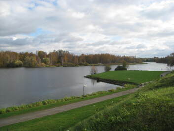 photo 1381812