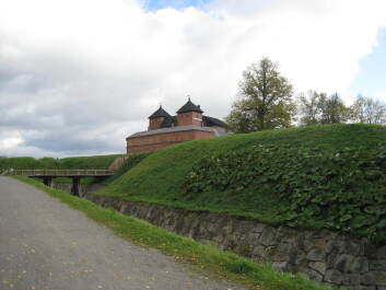 photo 1381825