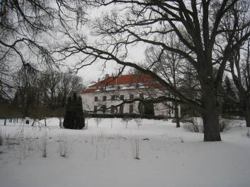 photo 1382482