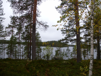 photo 1446500