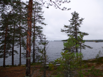 photo 1446852