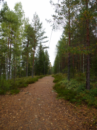 photo 1446854