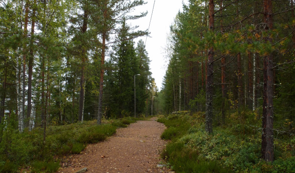 P1000444