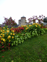 photo 1448685