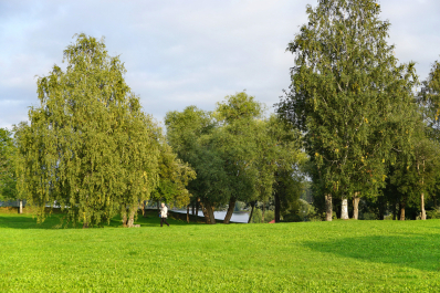 photo 1685928
