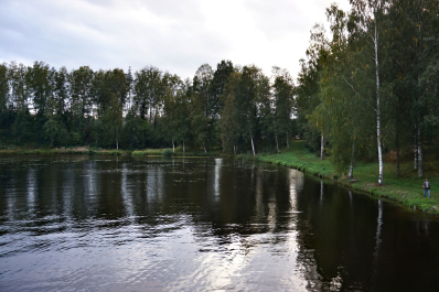 photo 1687698