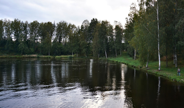 DSC05287