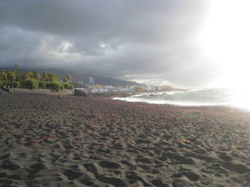 photo 1386182