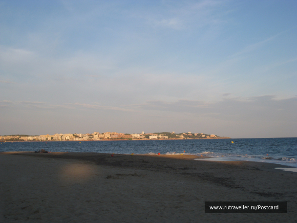 photo 1405782
