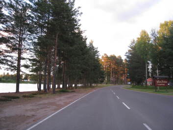 photo 1455158