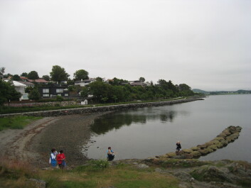 photo 1459686