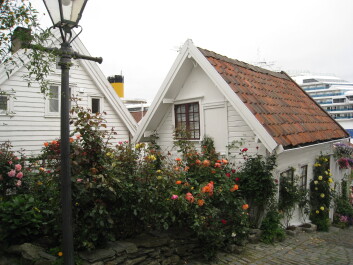 photo 1459852