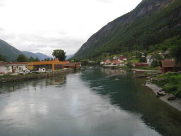 photo 1471874