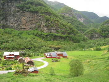 photo 1472814